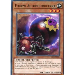 Fourmi Autodestructrice (C) [CIBR]