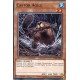 Castor Agile (SP) [CIBR]