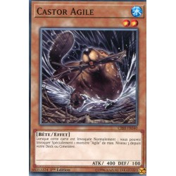 Castor Agile (SP) [CIBR]