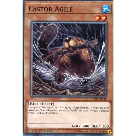Castor Agile (SP) [CIBR]