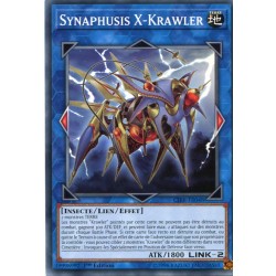 Synaphusis X-Krawler (C) [CIBR]