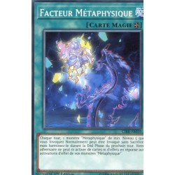 Facteur Métaphysique (C) [CIBR]