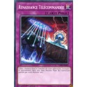 Renaissance Télécommandée (C) [CIBR]