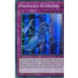 Protocole Altergeist (SR) [CIBR]