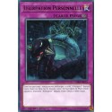 Usurpation Personnelle (R) [CIBR]