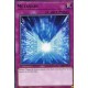 Métavers (R) [CIBR]