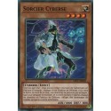 Sorcier Cyberse (C) [SDCL]