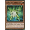 Héraut De La Lumière Verte (C) [SR05]