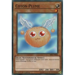 Coton-Plume (C) [SR05]