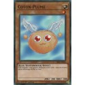 Coton-Plume (C) [SR05]