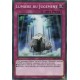 Lumière Du Jugement (C) [SR05]