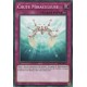 Chute Miraculeuse (C) [SR05]