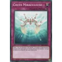 Chute Miraculeuse (C) [SR05]