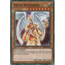 Vénus Splendide (C) [SR05]