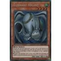 Eléphant Volant (STR) [BLRR]