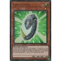 Larve Cyber (UR) [BLRR]