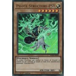Pilote Structure-PSY (UR) [BLRR]