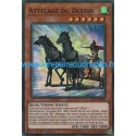 Attelage du Destin (SR) [SHVA]