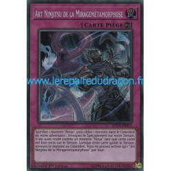 Art Ninjitsu de la Miragemétamorphose (STR) [SHVA]