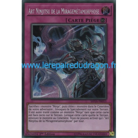 Art Ninjitsu de la Miragemétamorphose (STR) [SHVA]