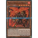 Ninja Dragon Rouge (SR) [SHVA]