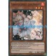 Floraison de Cendres et Joyeux Printemps (SR) [SHVA]