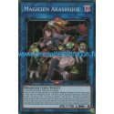 Magicien Akashique (SR) [SHVA]