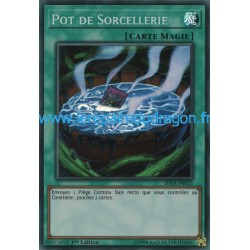 Pot de Sorcellerie (SR) [SHVA]