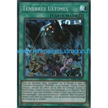 Ténèbres Ultimes (SR) [SHVA]