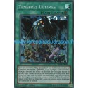 Ténèbres Ultimes (SR) [SHVA]
