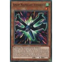 Aimant Malveillant Vitesseroid (C) [MP18]