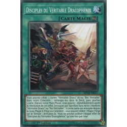 Disciples du Véritable Dracophénix (C) [MP18]