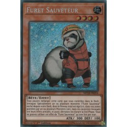Furet Sauveteur (STR) [MP18]