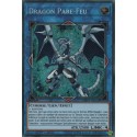 Dragon Pare-Feu (STR) [MP18]