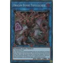 Dragon Bombe Topologique (STR) [MP18]
