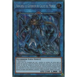 Ningirsu le Guerrier du Calice du Monde (STR) [MP18]