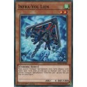 Infra-Vol Lien (C) [MP18]