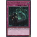 Usurpation Personnelle (R) [MP18]