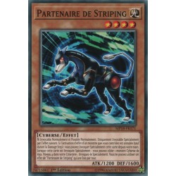 Partenaire de Striping (C) [MP18]