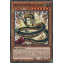 Lienceinture Mur de Dragon (C) [MP18]