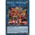 Sorcier de la Récupération (C) [MP18]