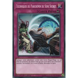 Techniques du Parchemin du Sens Secret (C) [MP18]