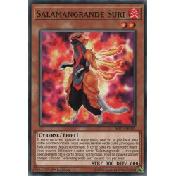 Salamangrande Suri (C) [SOFU]