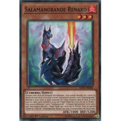 Salamangrande Renard (C) [SOFU]