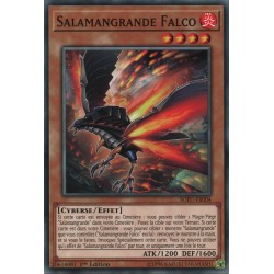 Salamangrande Falco (C) [SOFU]