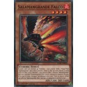 Salamangrande Falco (C) [SOFU]