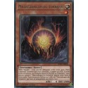 Matrixdragon du Tonnerre (R) [SOFU]