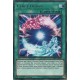 Cynet Fusion (R) [SOFU]