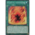 Volonté de la Salamangrande (C) [SOFU]