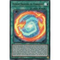 Fusion Dragon du Tonnerre (UR) [SOFU]
